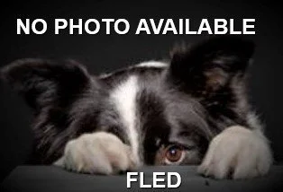 HAPPY ENDINGS - NANAIMO BC. / OCT. 28, 2023