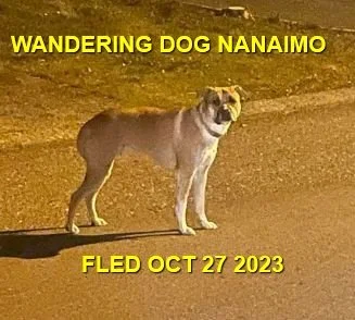 WENT HOME ON THEIR OWN- NANAIMO BC. / OCT. 27, 2023