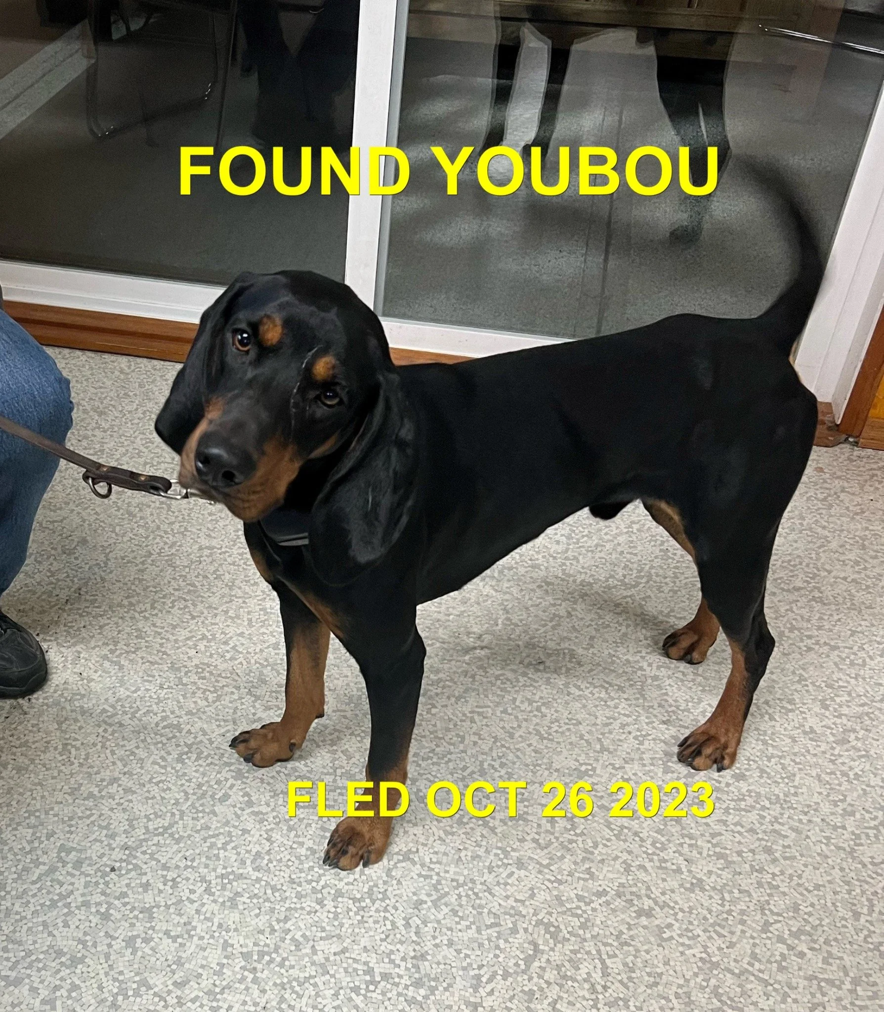 HAPPY ENDINGS - YOUBOU BC. / SAM / OCT. 26, 2023