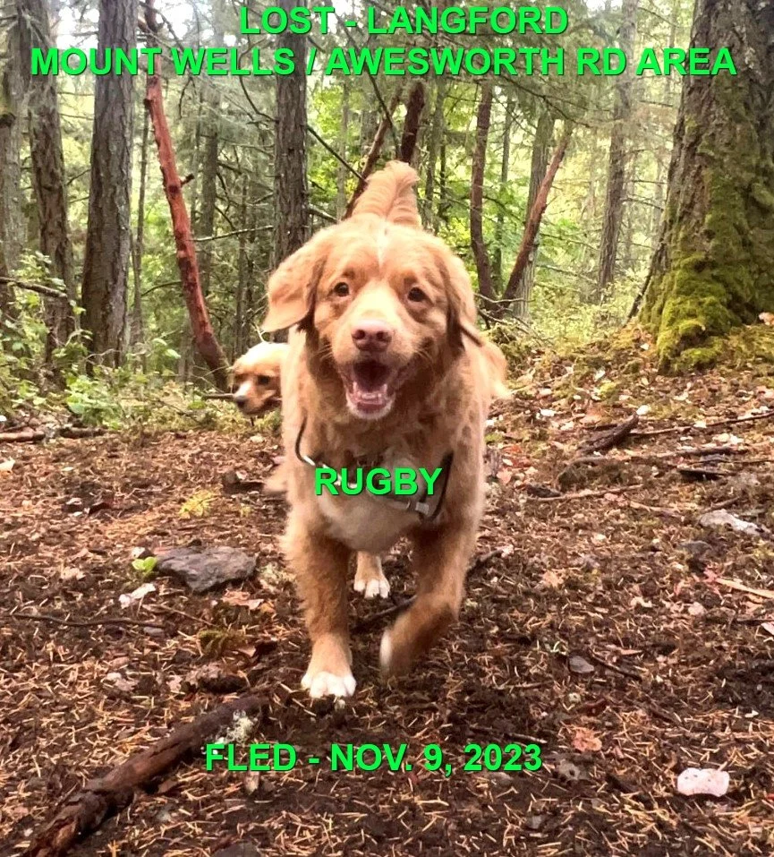 HAPPY ENDINGS - LANGFORD BC. / RUGBY / NOV. 9, 2023