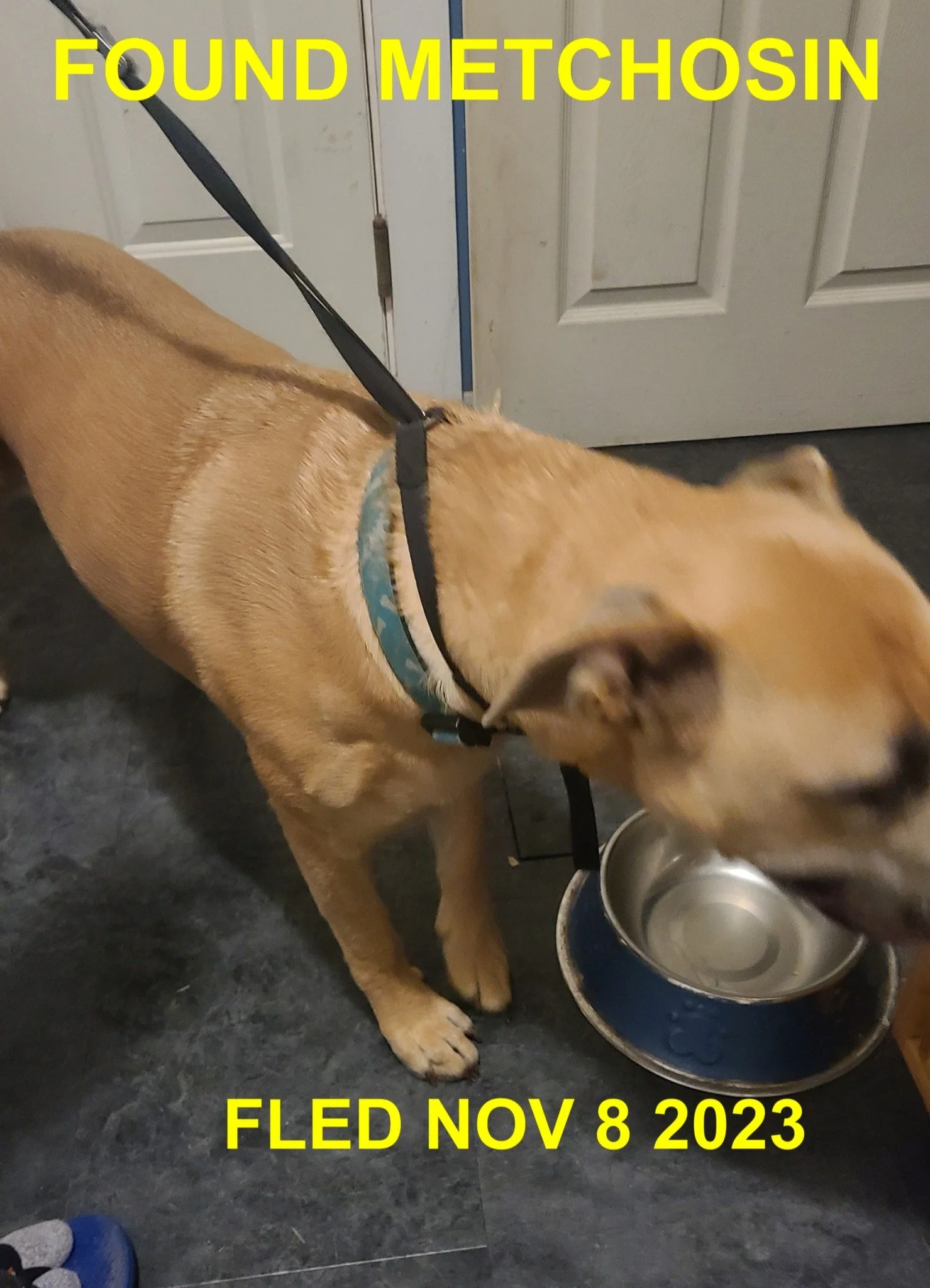 HAPPY ENDINGS - METCHOSIN BC. / NOV. 8, 2023