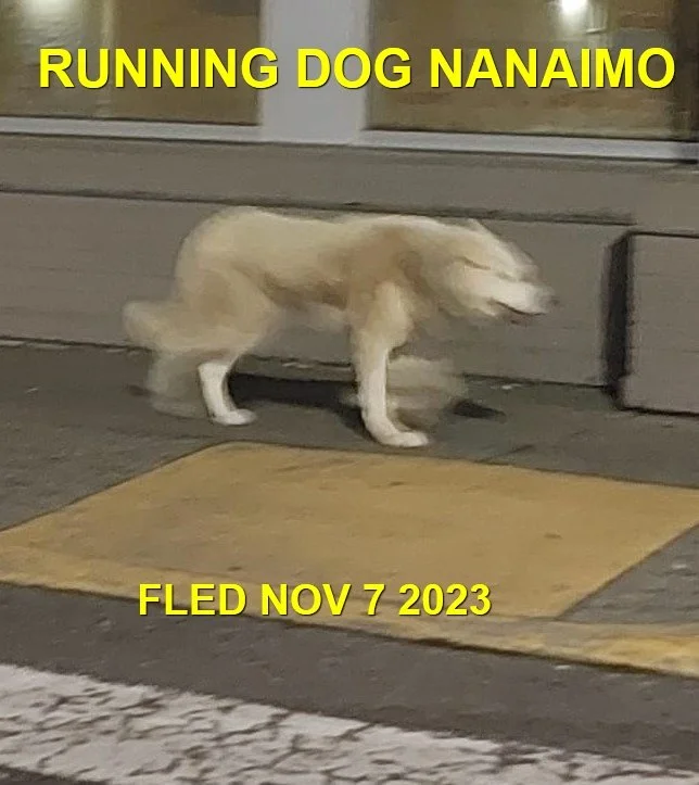 HAPPY ENDINGS - NANAIMO BC. / WOODGROVE MALL / NOV. 7, 2023