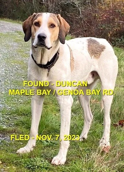 HAPPY ENDINGS - DUNCAN (MAPLE BAY) BC. / JACKSON / NOV. 7, 2023