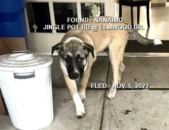 HAPPY ENDINGS - NANAIMO BC. / NOV. 5, 2023