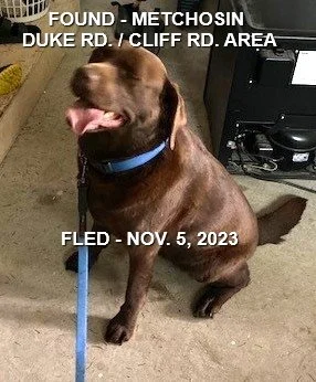 HAPPY ENDINGS - METCHOSIN BC. / NOV. 5, 2023