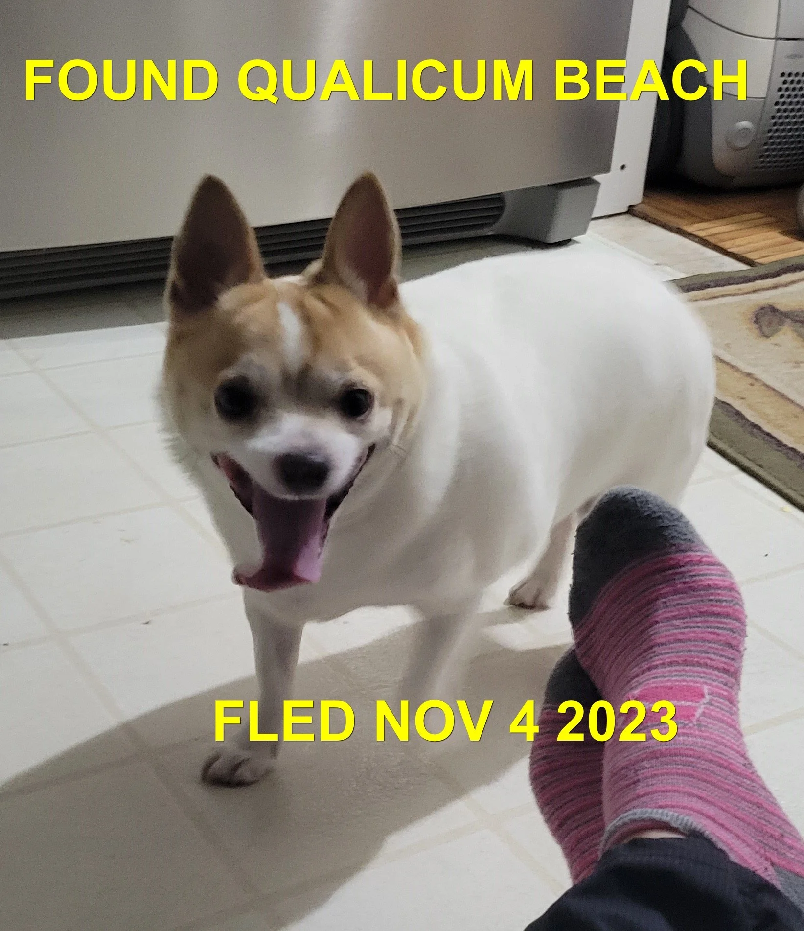 HAPPY ENDINGS - QUALICUM BEACH BC. / NOV. 4, 2023