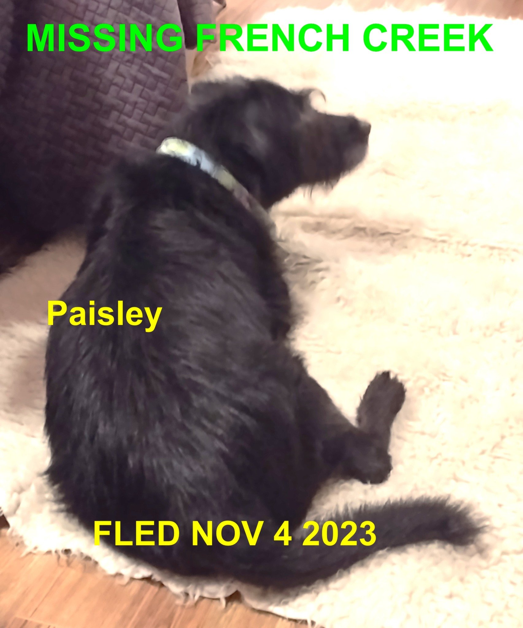 OVER THE RAINBOW BRIDGE - PARKSVILLE BC. / PAISLEY / NOV. 3, 2023