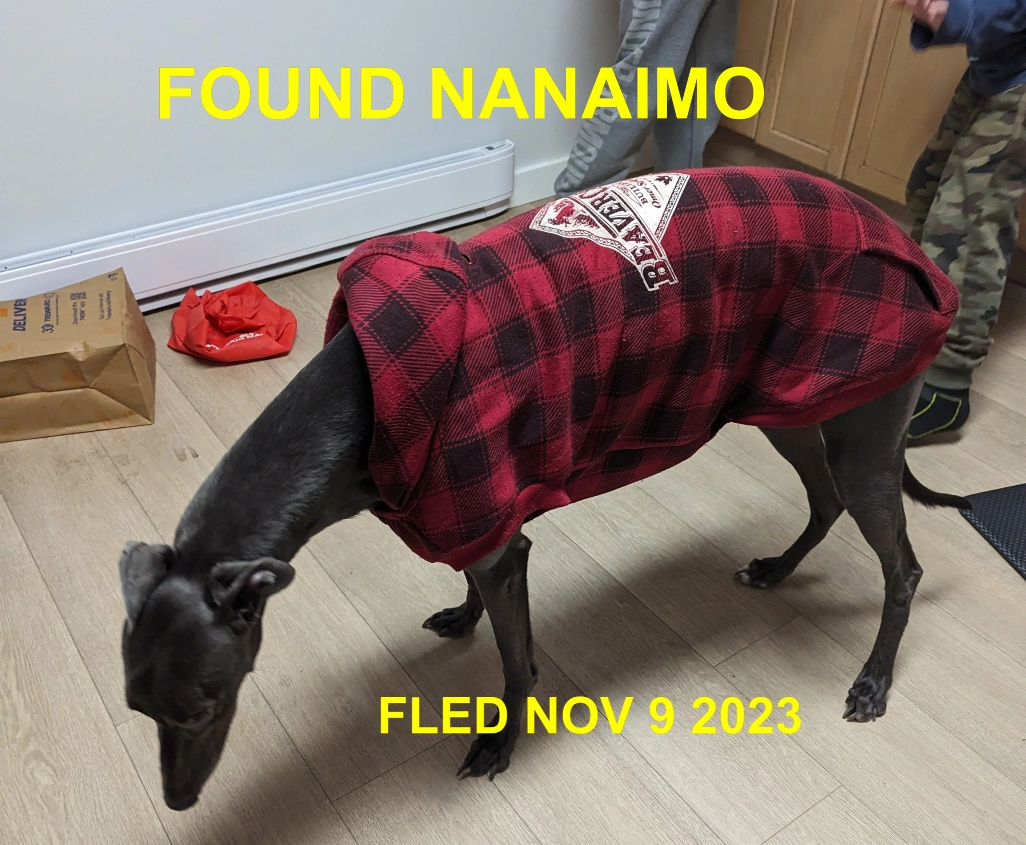 HAPPY ENDINGS - NANAIMO BC. / NOV. 9, 2023