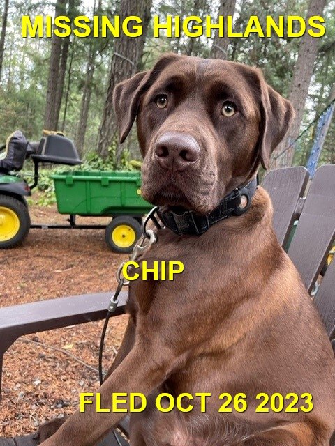 HAPPY ENDINGS - HIGHLANDS BC. / CHIP / OCT. 26, 2023