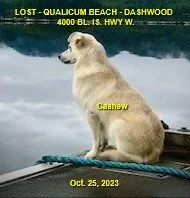 HAPPY ENDINGS - QUALICUM BEACH BC. / CASHEW / OCT. 25, 2023