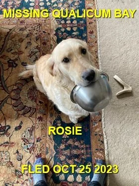 HAPPY ENDINGS - QUALICUM BAY BC. / ROSIE / OCT. 25, 2023