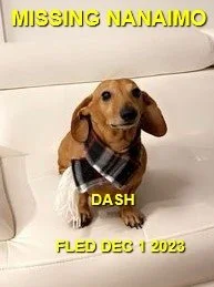 HAPPY ENDINGS - NANAIMO BC. / DASH /  NOV. 30, 2023