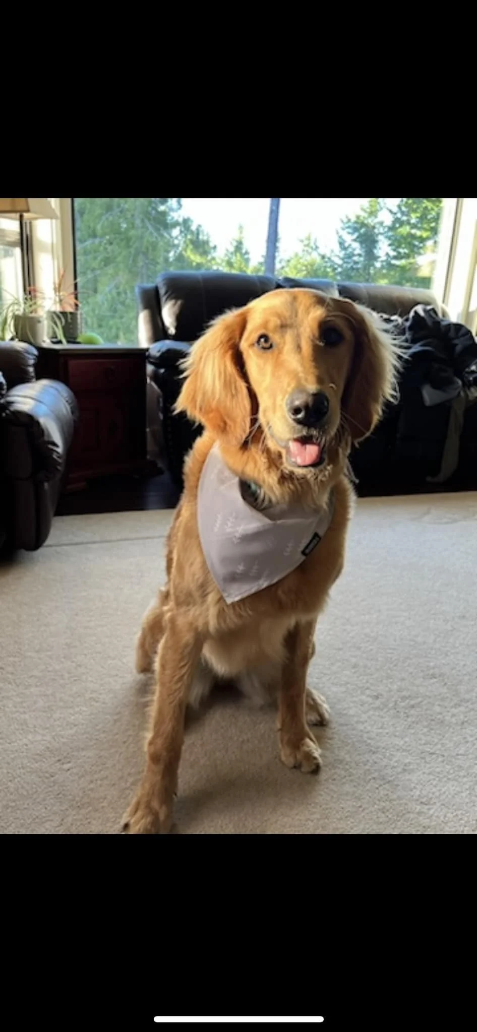 HAPPY ENDINGS - SHAWNIGAN LAKE BC. / MEG / NOV. 29, 2023