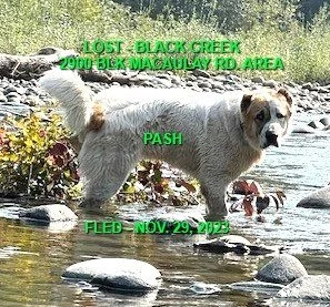 HAPPY ENDINGS - BLACK CREEK BC. / PASH / NOV. 29, 2023