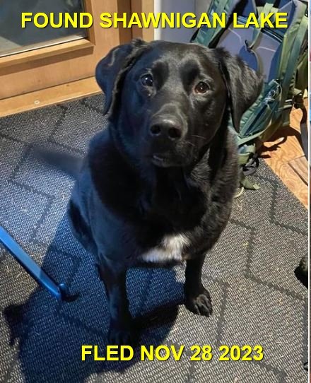 HAPPY ENDINGS - SHAWNIGAN LAKE BC. / NOV. 28, 2023