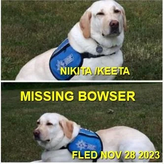 HAPPY ENDINGS - BOWSER BC. / KEETA (SERVICE DOG) / NOV. 26, 2023