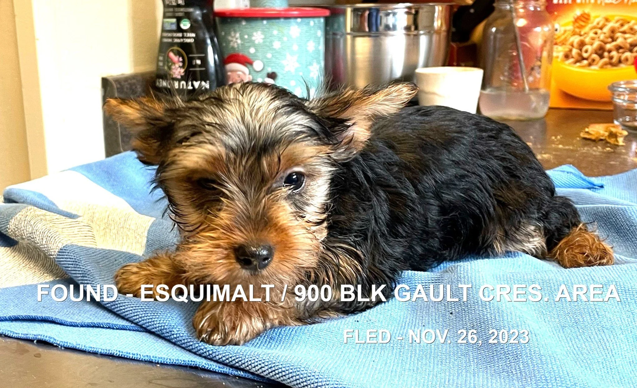 HAPPY ENDINGS - ESQUIMALT BC. / NOV. 26, 2023