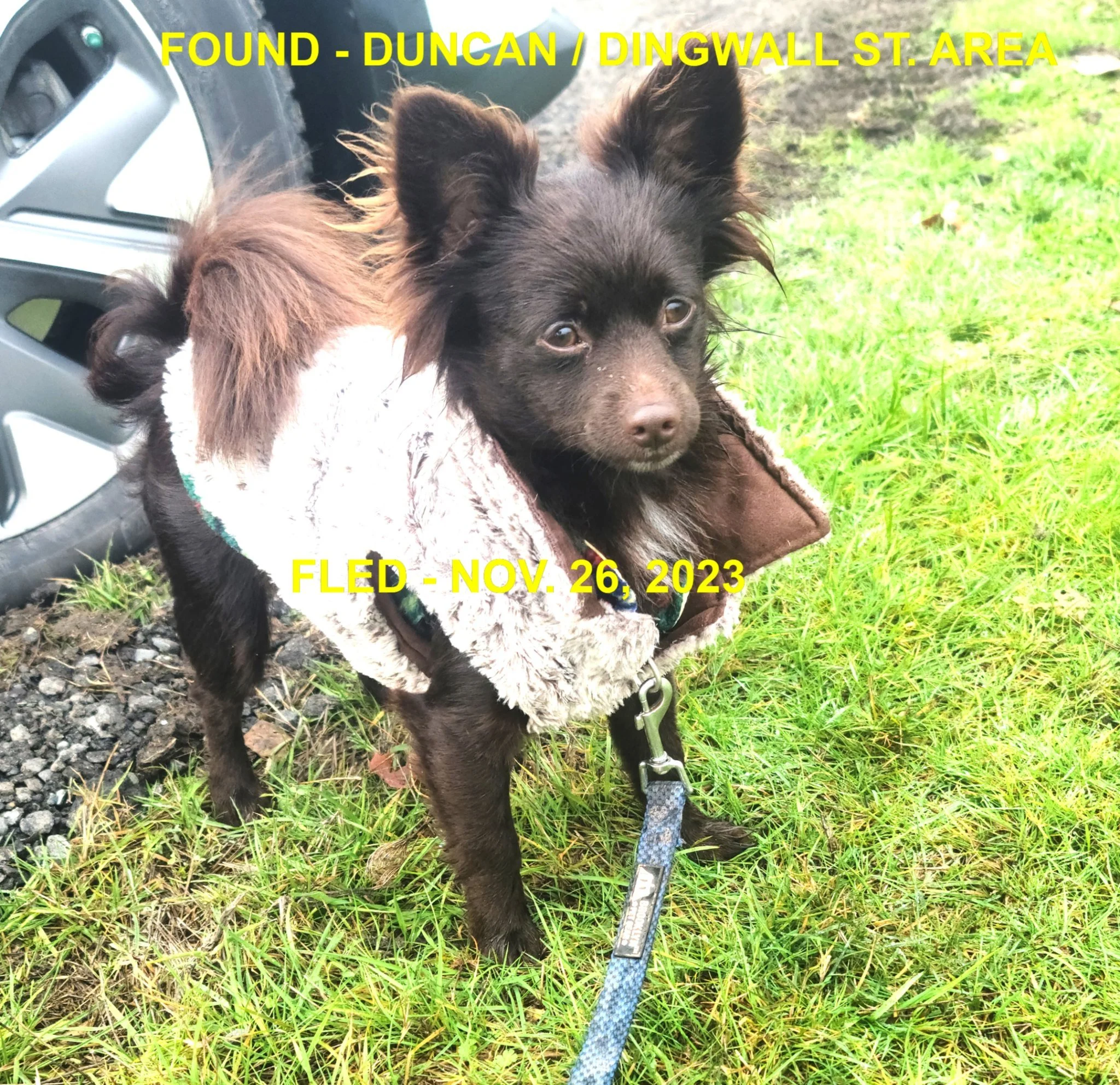 HAPPY ENDINGS - DUNCAN BC. / NOV. 26, 2023