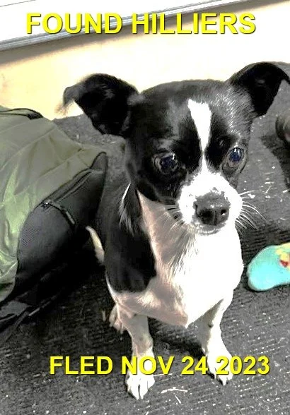 HAPPY ENDINGS - HILLIERS / COOMBS / NOV. 25, 2023