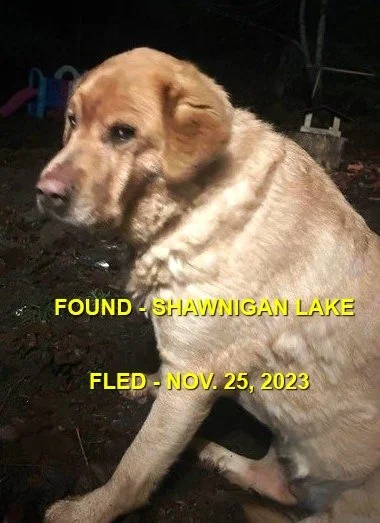 HAPPY ENDINGS - SHAWNIGAN LAKE BC. / NOV. 25, 2023