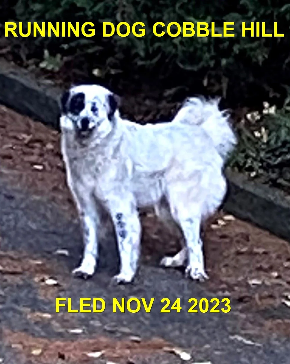 UNRESOLVED - COBBLE HILL BC. / NOV. 24, 2023