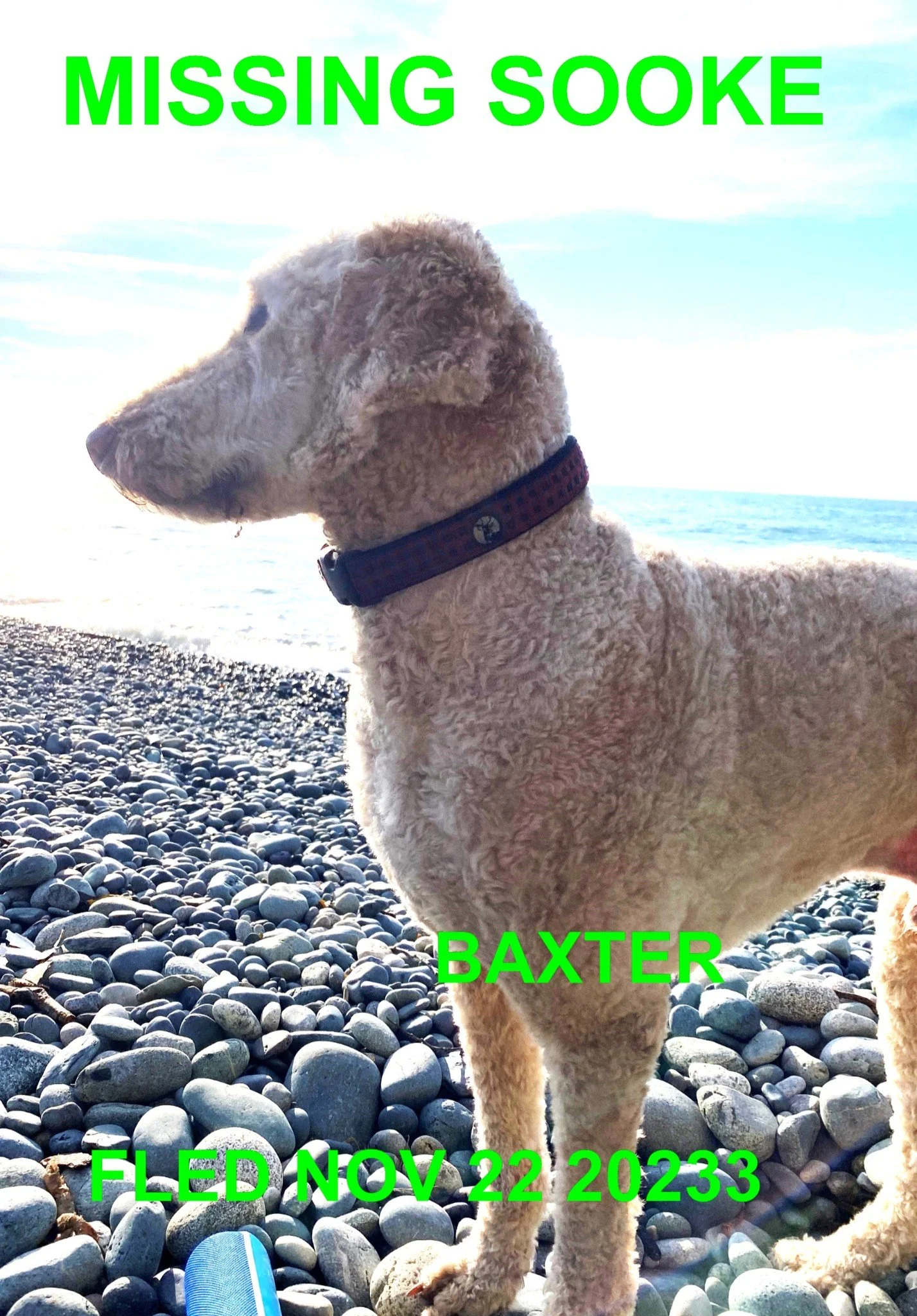 HAPPY ENDINGS - SOOKE BC. / BAXTER / NOV. 22, 2023