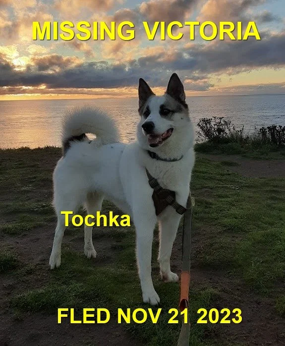 HAPPY ENDINGS - VICTORIA BC. / TOCHKA / NOV. 21, 2023