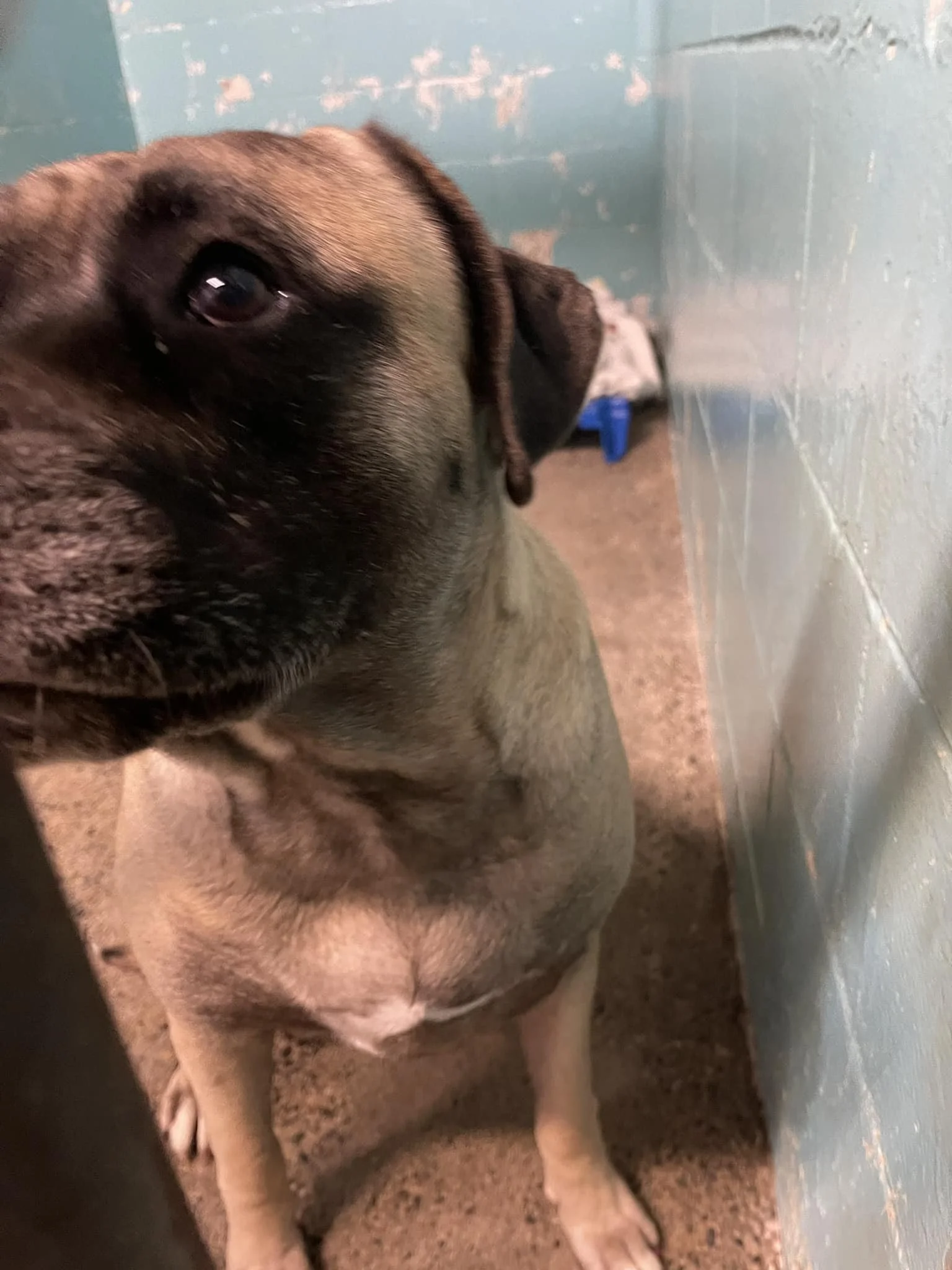 GONE TO SHELTER / HAPPY ENDINGS - NANAIMO BC. / NOV. 20, 2023