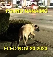 GONE TO SHELTER / HAPPY ENDINGS - NANAIMO BC. / NOV. 20, 2023
