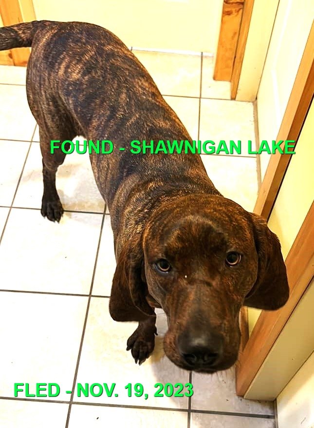 HAPPY ENDINGS - SHAWNIGAN LAKE BC. / NOV. 19, 2023