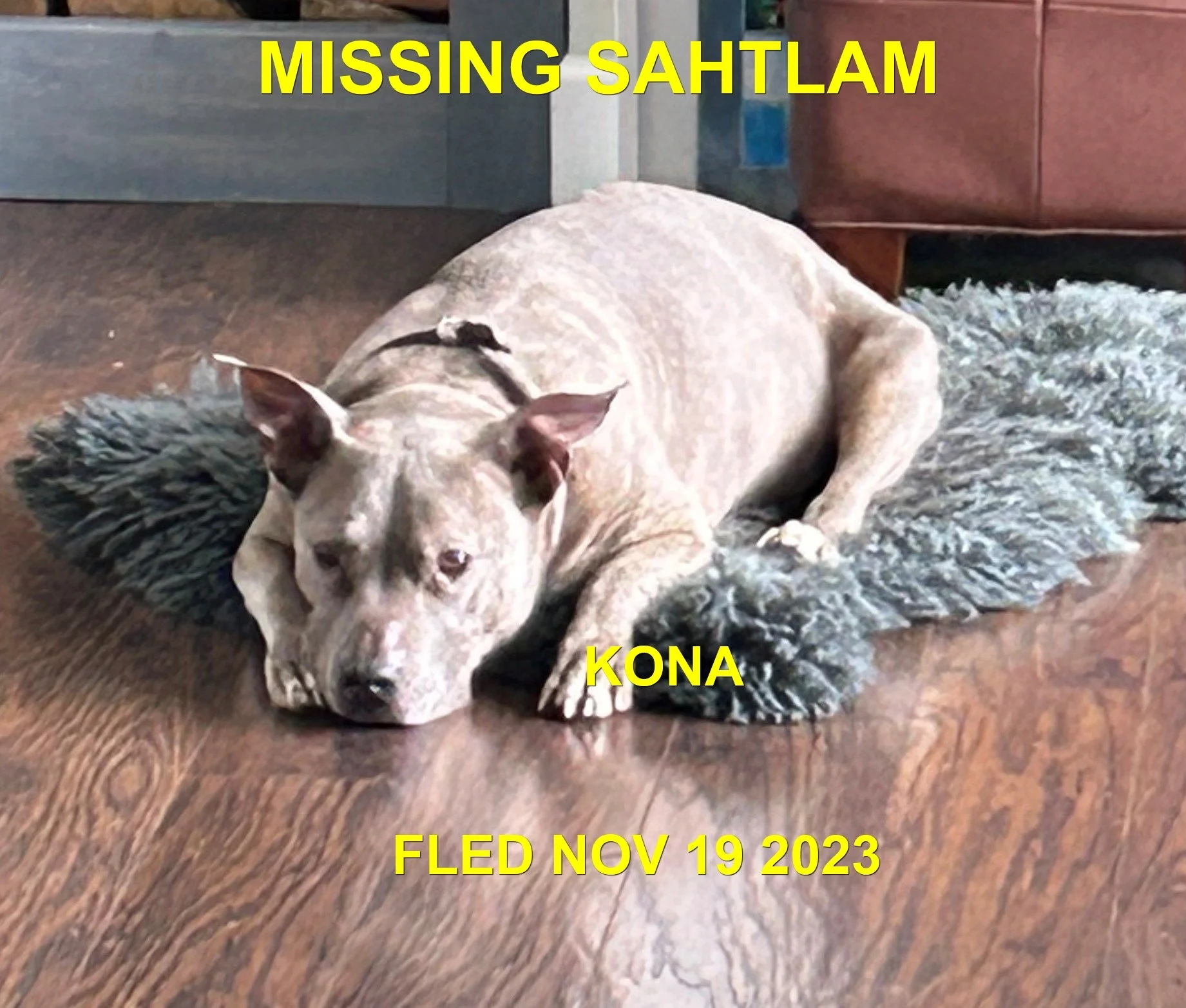 HAPPY ENDINGS - DUNCAN BC. / KONA / NOV. 19, 2023