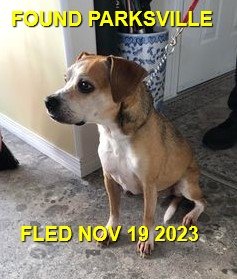 HAPPY ENDINGS - PARKSVILLE BC. / NOV. 19, 2023