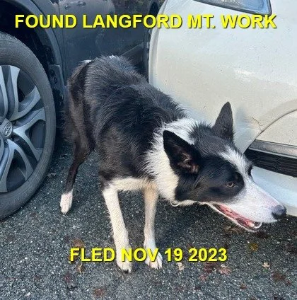 HAPPY ENDINGS - LANGFORD BC. / NOV. 19, 2023