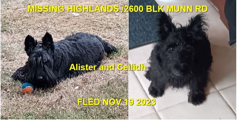 HAPPY ENDINGS - HIGHLANDS BC. / Alister and Ceilidh / NOV. 19, 2023