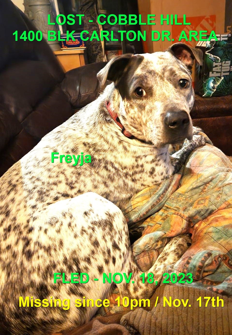 HAPPY ENDINGS - COBBLE HILL BC. / FREYJA / NOV. 17, 2023