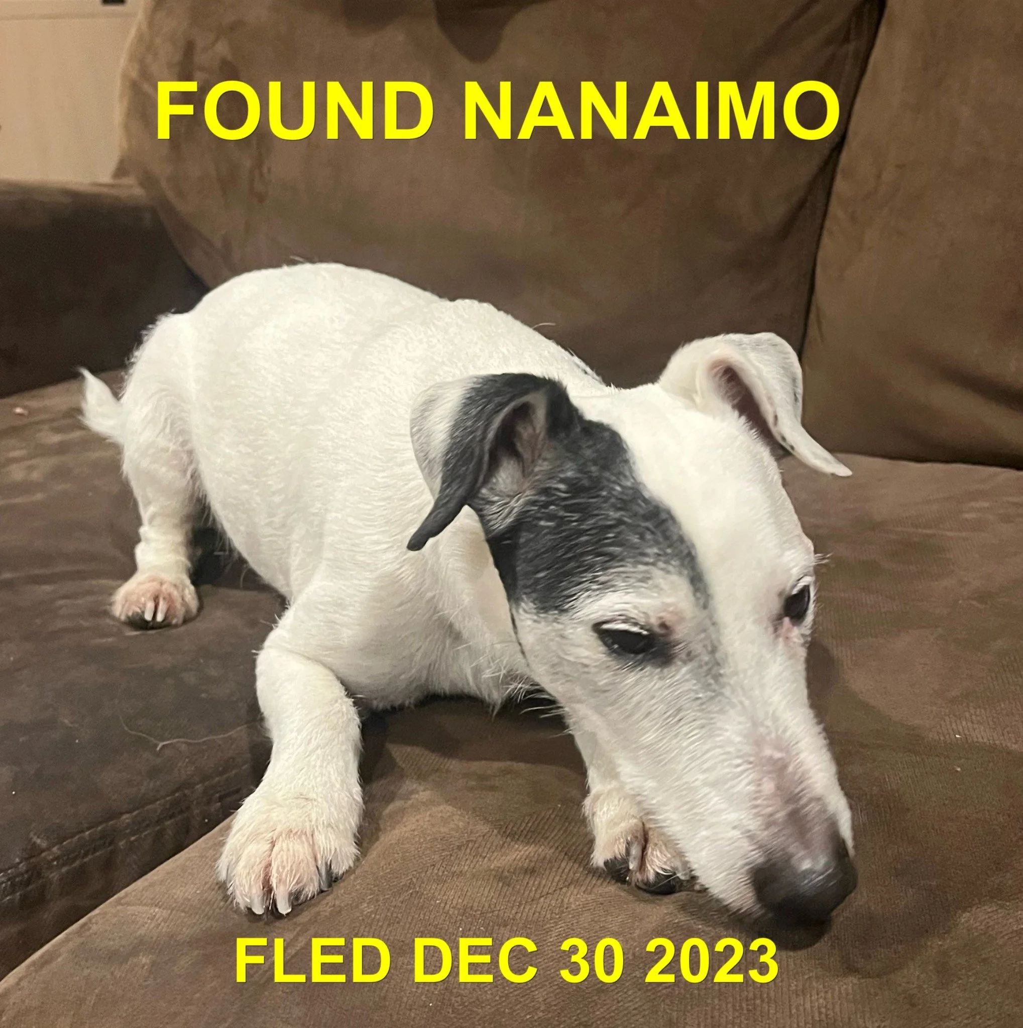 HAPPY ENDINGS - NANAIMO BC / DEC. 30, 2023