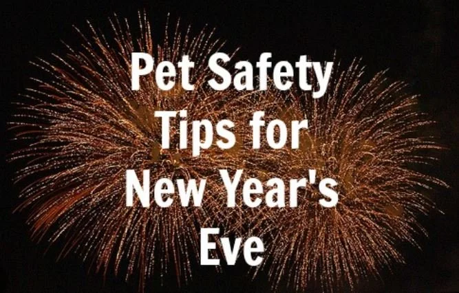 PET SAFETY TIPS NEW YEARS EVE 2023