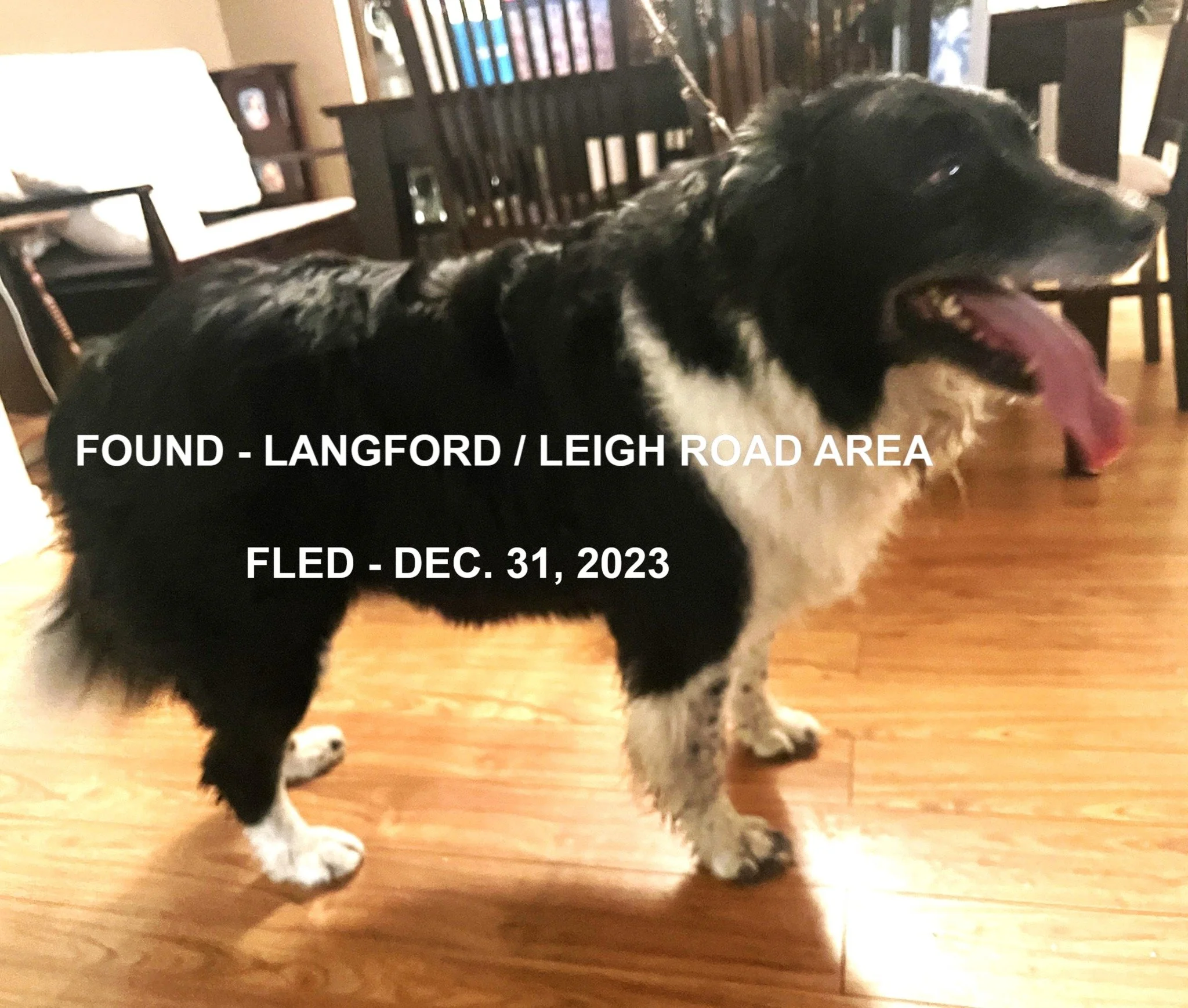 HAPPY ENDINGS - LANGFORD BC. / JACK / DEC. 31, 2023