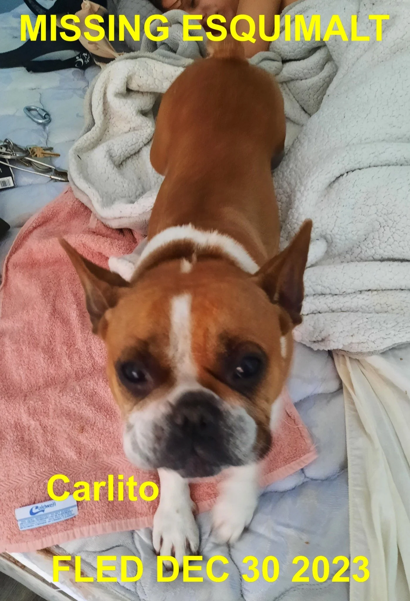 HAPPY ENDINGS - ESQUIMALT BC. / CARLITO / DEC. 30, 2023