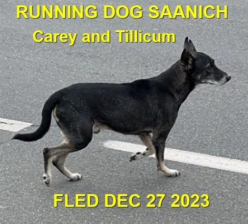 UNRESOLVED - SAANICH BC. / DEC. 27, 2023