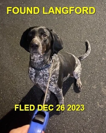 GONE TO SHELTER - LANGFORD BC. / DEC. 26, 2023