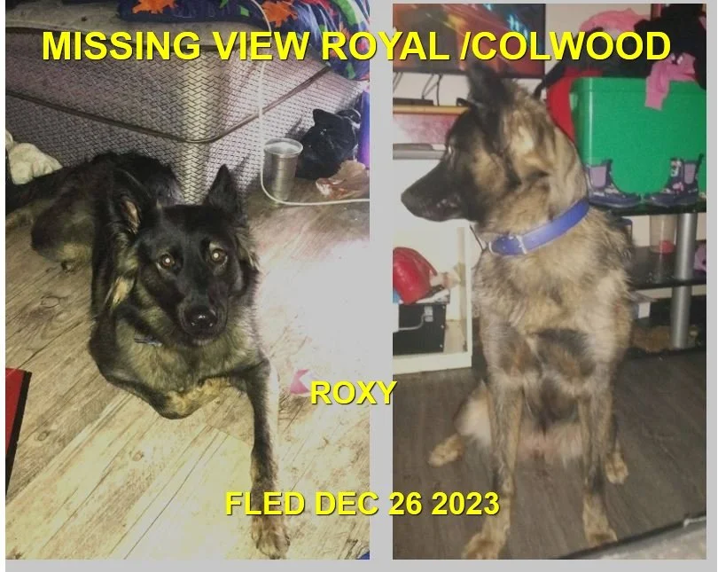 HAPPY ENDINGS - VIEW ROYAL BC. / ROXY / DEC. 25, 2023