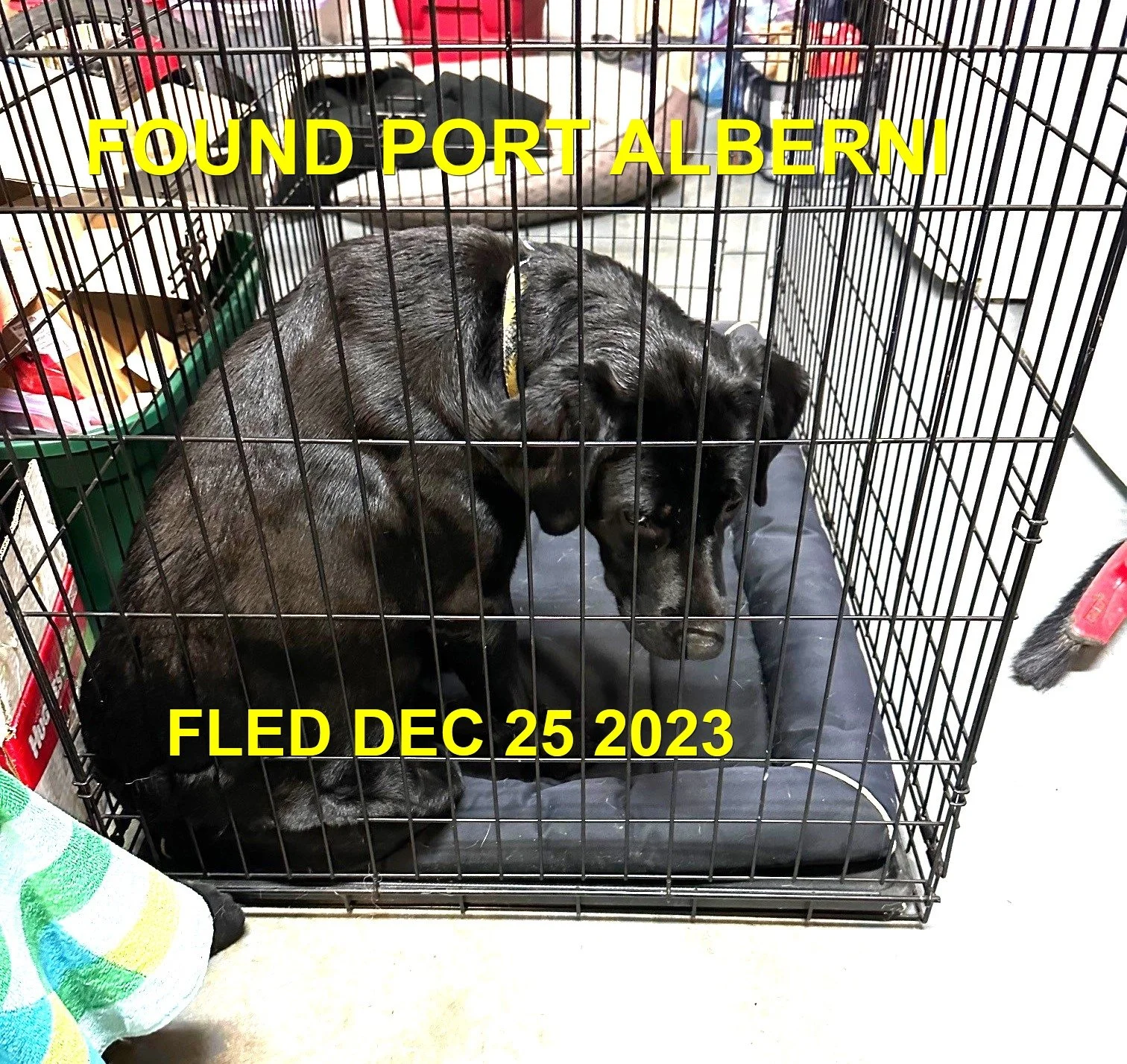 HAPPY ENDINGS - PORT ALBERNI BC. / DEC. 25, 2023