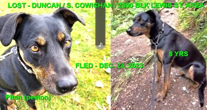 HAPPY ENDINGS - DUNCAN BC. / PITON / DEC. 24, 2023