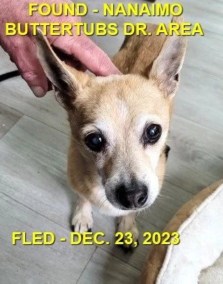 HAPPY ENDINGS - NANAIMO BC. / DEC. 23, 2023