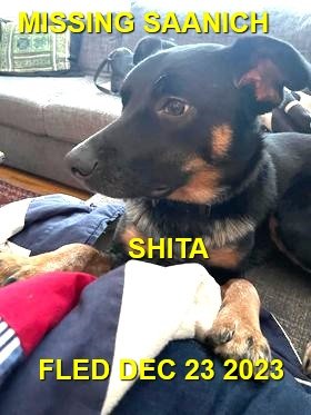 HAPPY ENDINGS - SAANICH BC. / RODE SHOTGUN WITH SAANICH POLICE / DEC. 22, 2023