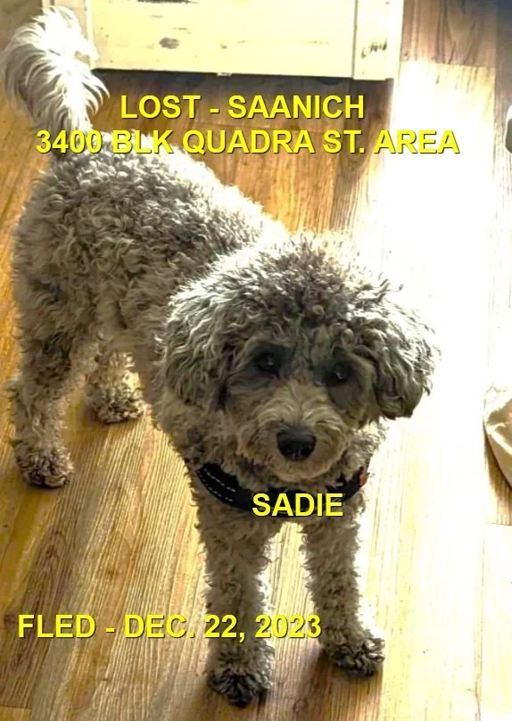 UNRESOLVED - SAANICH BC. / SADIE / DEC. 20, 2023