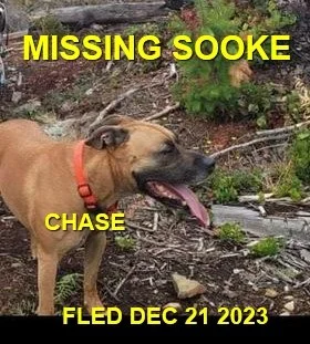 HAPPY ENDINGS - SOOKE BC. / CHASE / DEC. 21, 2023