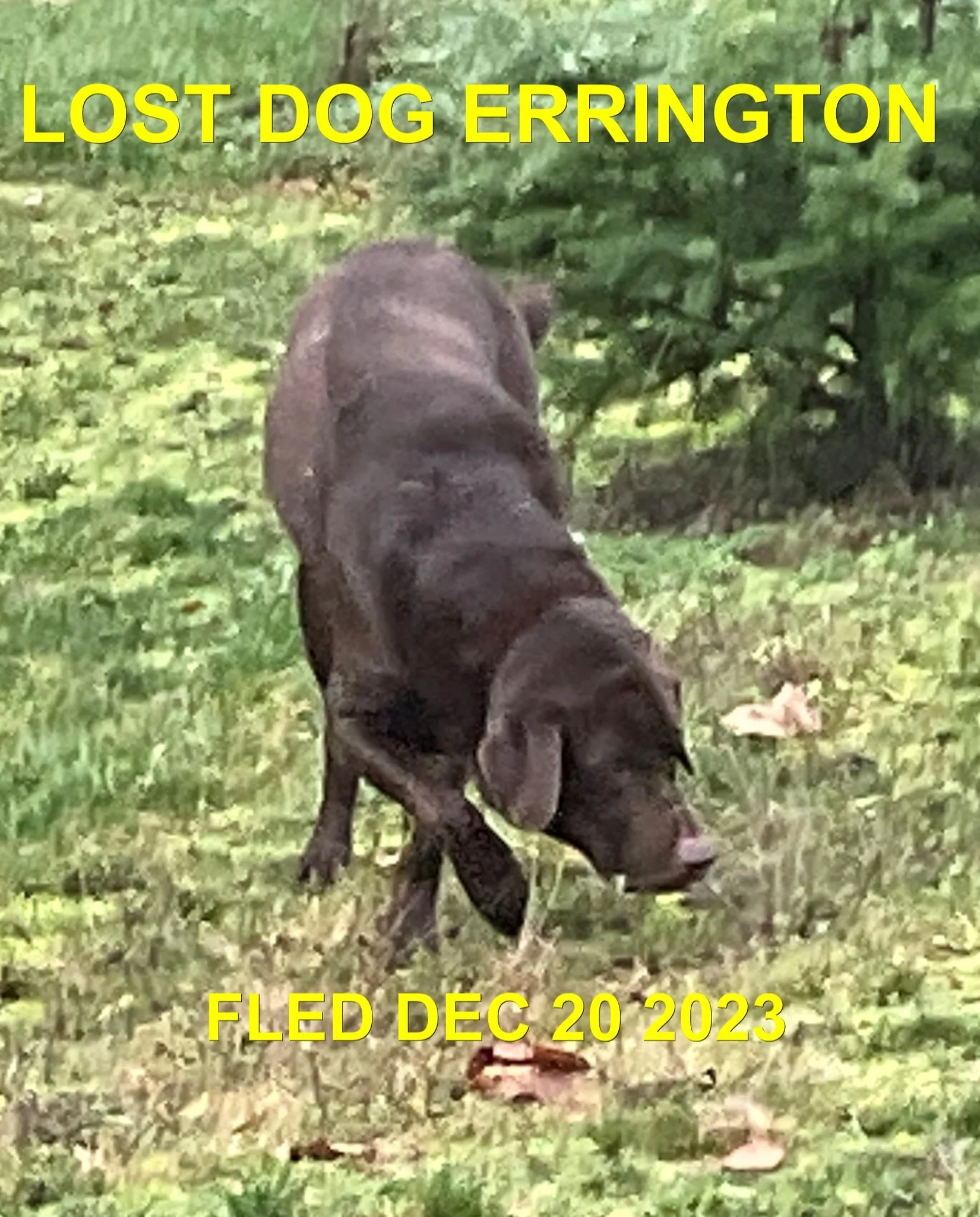 UNRESOLVED - ERRINGTON BC. / DEC. 20, 2023