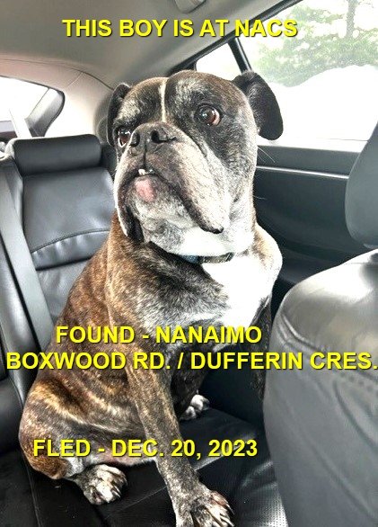GONE TO SHELTER / HAPPY ENDINGS - NANAIMO BC. / DEC. 20,2023